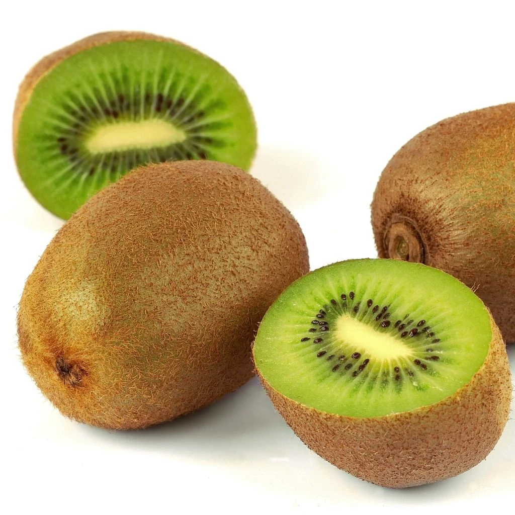 Kiwi Mâle - Actinidia Deliciosa Belen 1 Kiwi Mâle - Actinidia Deliciosa Belen