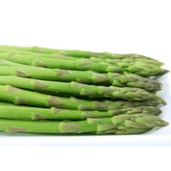 Asperge Voltaire En Griffes - Asparagus Officinalis