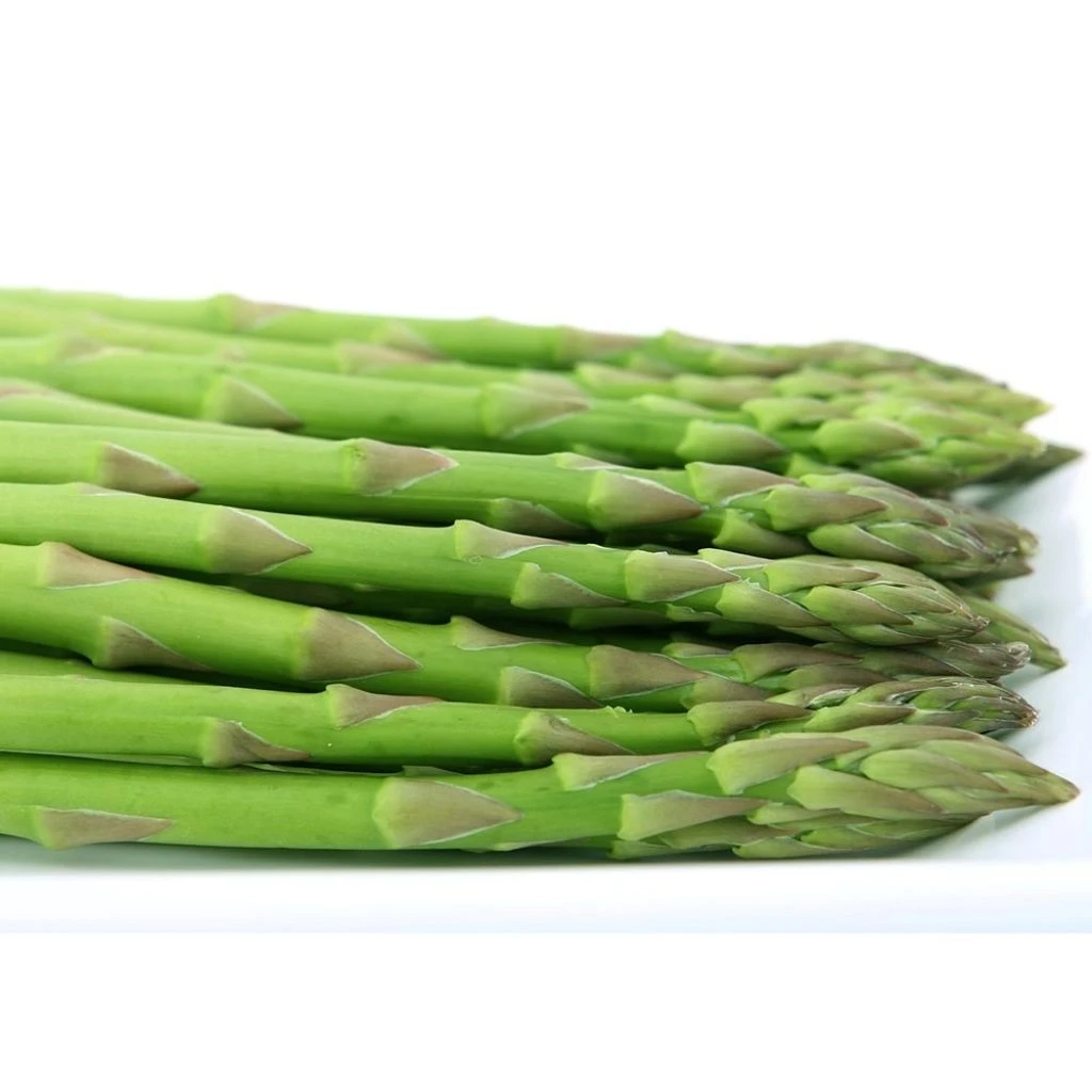 Asperge Voltaire En Griffes - Asparagus Officinalis 1 Asperge Voltaire En Griffes - Asparagus Officinalis
